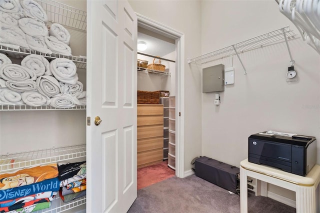 walk in closet with carpet floors