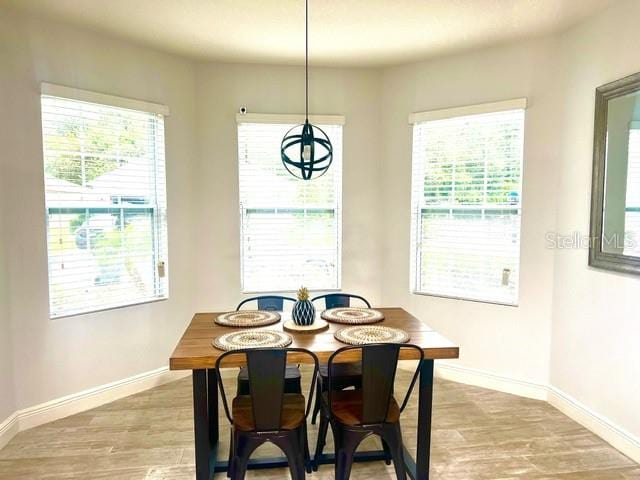 dining space featuring hardwood / wood-style floors