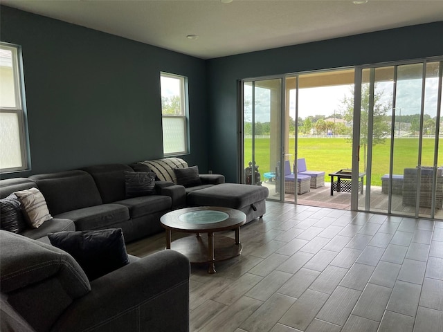 living room featuring light hardwood / wood-style flooring