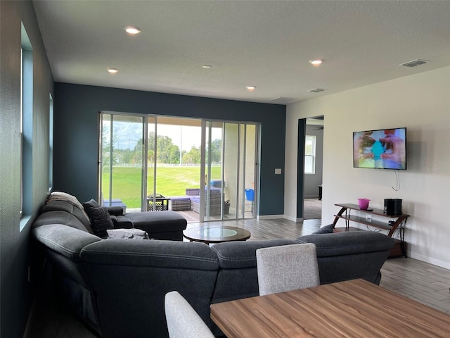 living room featuring hardwood / wood-style flooring