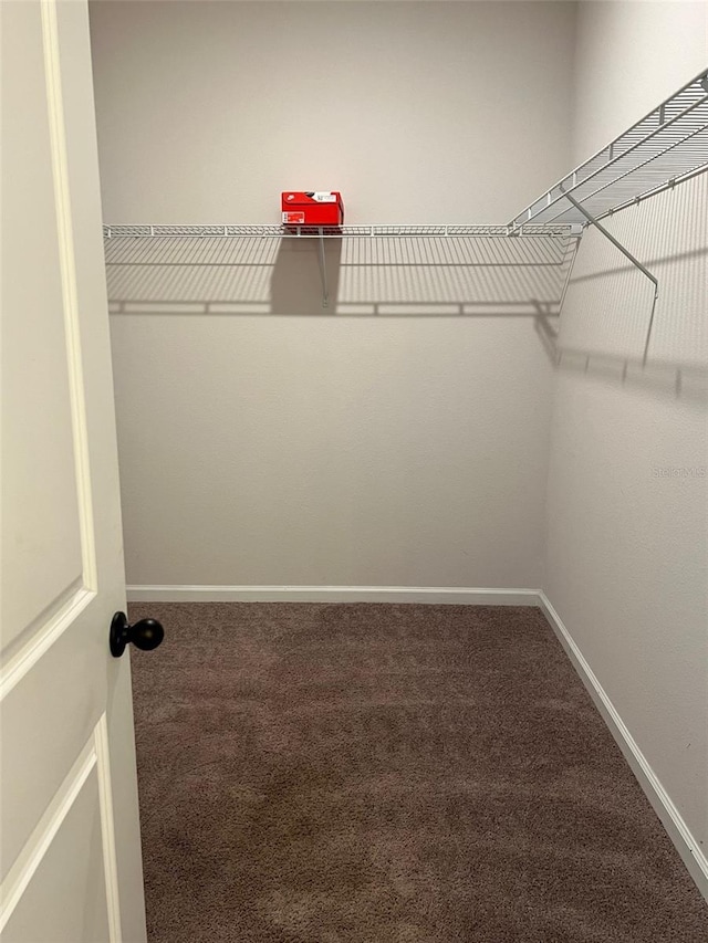 walk in closet featuring carpet