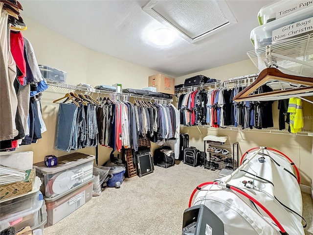 spacious closet with carpet floors