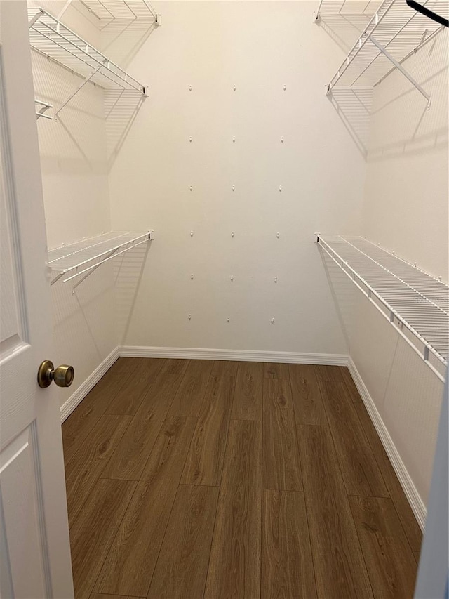 walk in closet featuring hardwood / wood-style floors