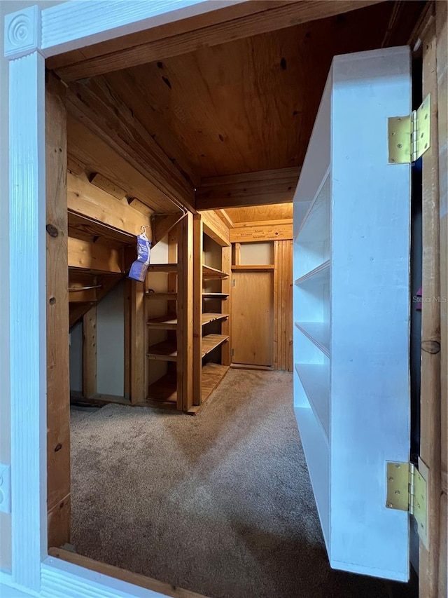 walk in closet featuring carpet flooring