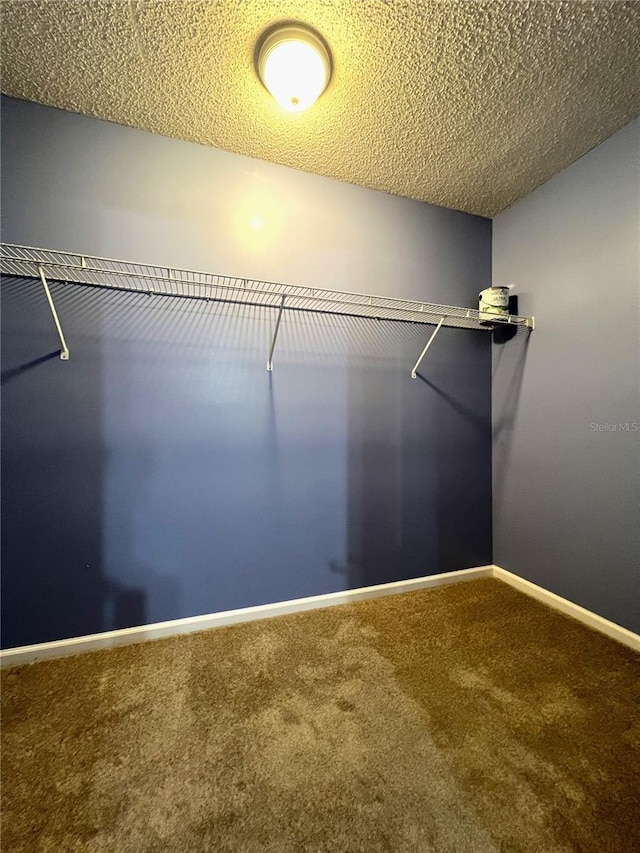 spacious closet with carpet