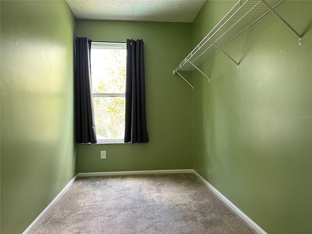 spacious closet featuring carpet flooring