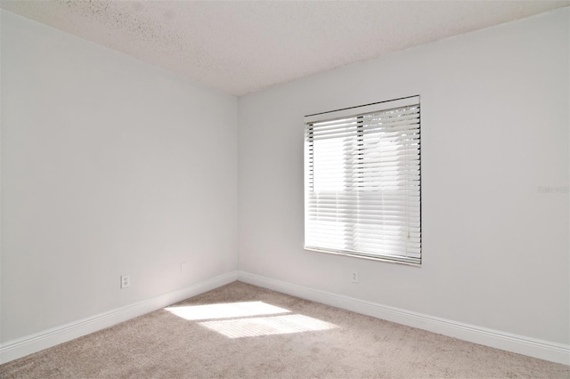 unfurnished room featuring a textured ceiling and carpet flooring