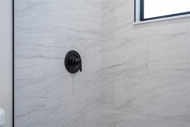 room details with tiled shower