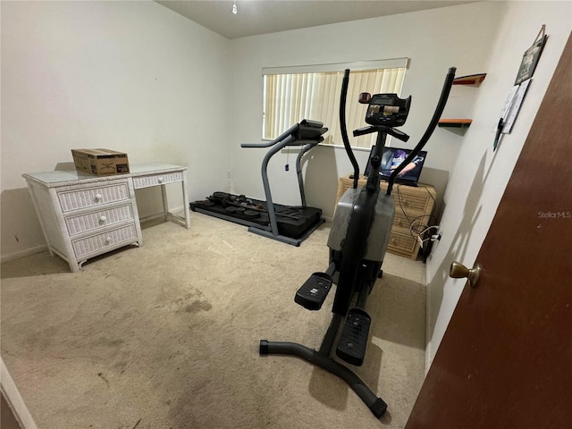 exercise area with light colored carpet