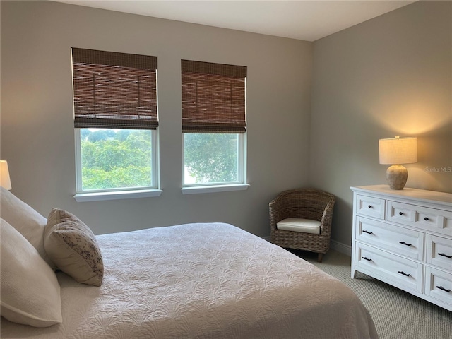 bedroom featuring multiple windows and light carpet