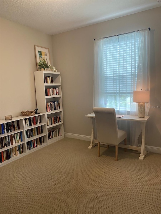 carpeted office space with a textured ceiling