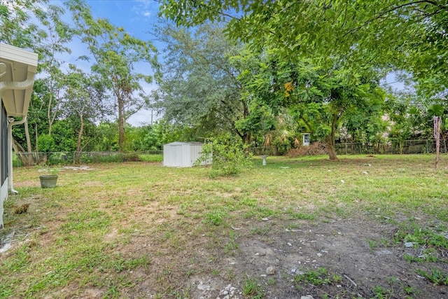 view of yard with a storage shed