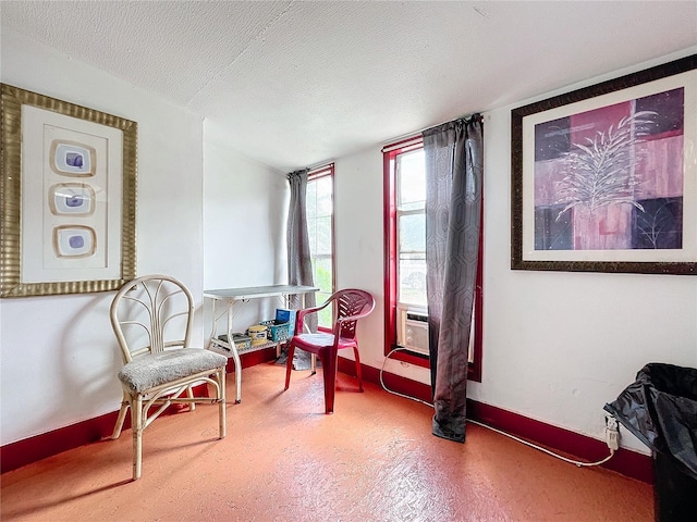 sitting room with a textured ceiling