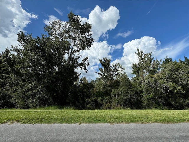 Listing photo 2 for Sheldon St, Orlando FL 32833