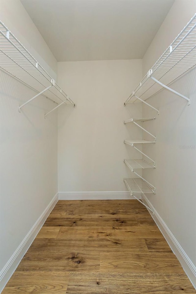 walk in closet with hardwood / wood-style floors