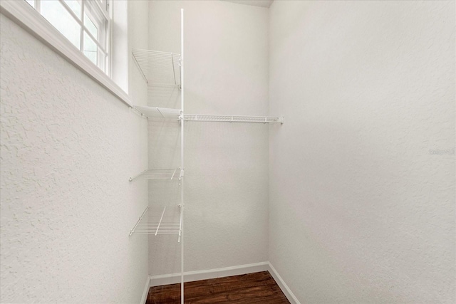 spacious closet featuring wood finished floors