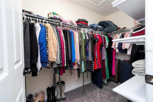 walk in closet featuring carpet flooring