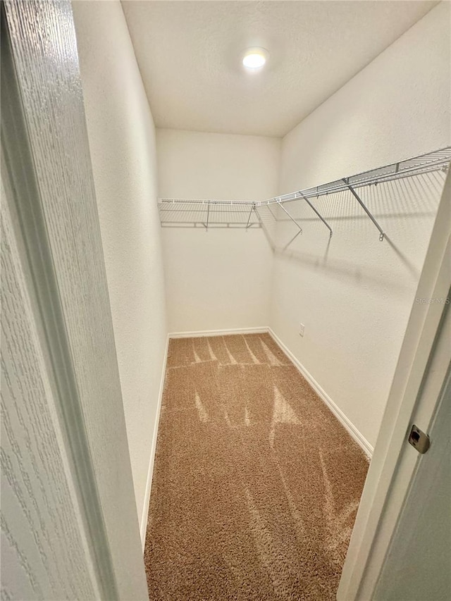 walk in closet featuring carpet flooring