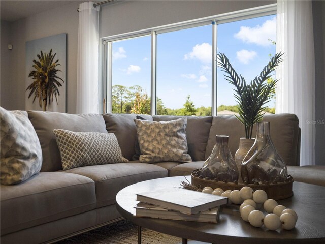 living room featuring a wealth of natural light