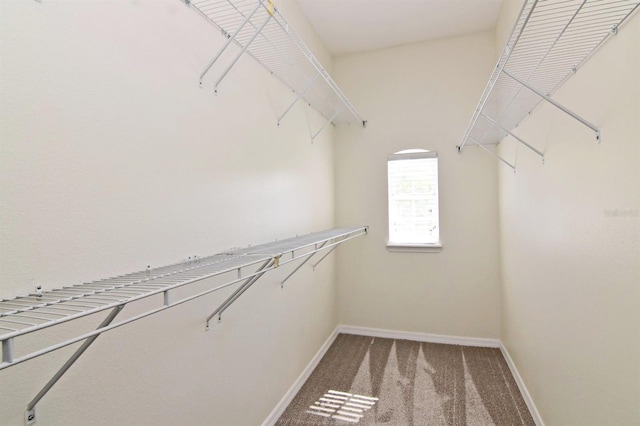 walk in closet featuring carpet flooring