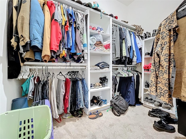 walk in closet featuring carpet floors