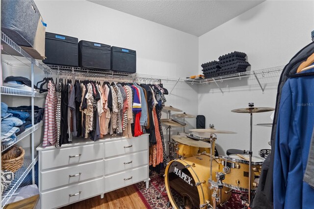 spacious closet with wood-type flooring