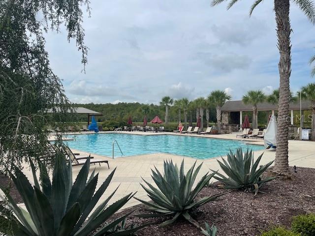 view of swimming pool with a patio area