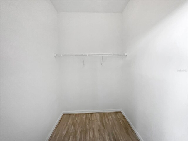 spacious closet with wood-type flooring