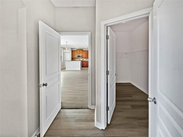 hall with an inviting chandelier and hardwood / wood-style flooring