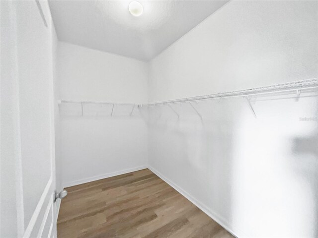 spacious closet with wood-type flooring