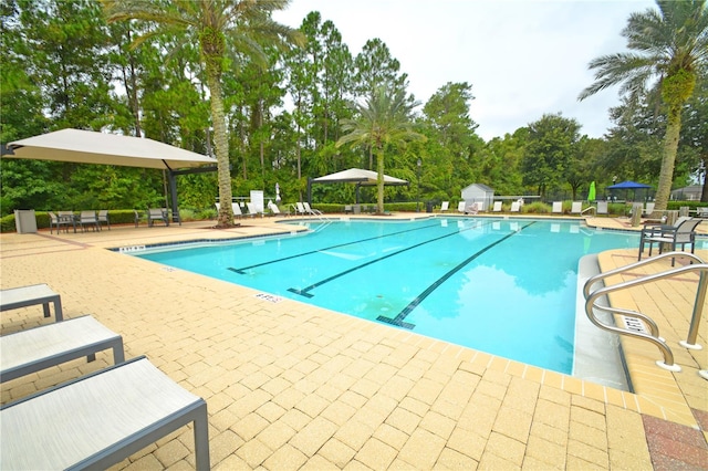 view of pool with a storage shed and a patio area