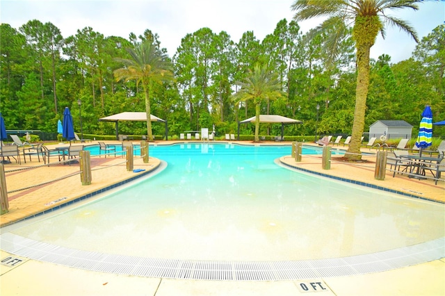 view of pool featuring a patio