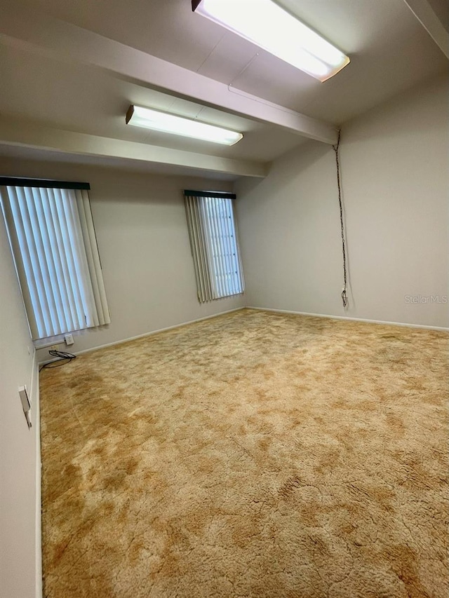 empty room featuring carpet