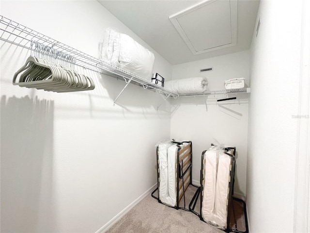 walk in closet featuring light colored carpet