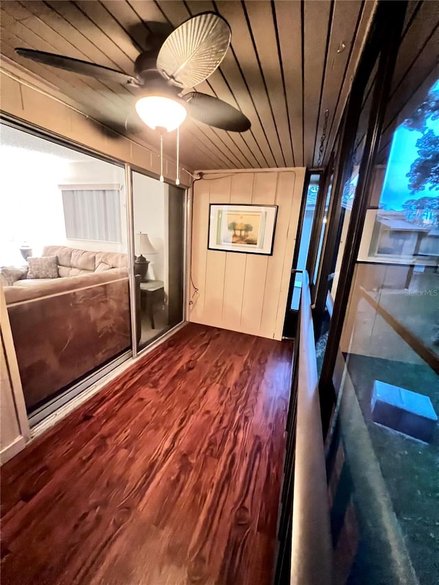 doorway with ceiling fan and dark hardwood / wood-style flooring