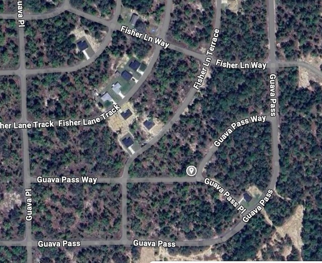 Guava Pass Way, Ocklawaha FL, 32179 land for sale