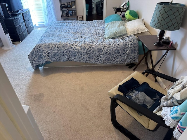 bedroom featuring carpet flooring and a closet