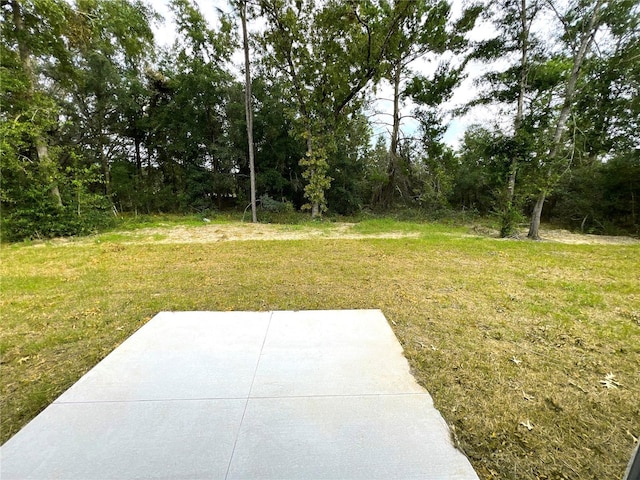 view of grassy yard featuring a patio