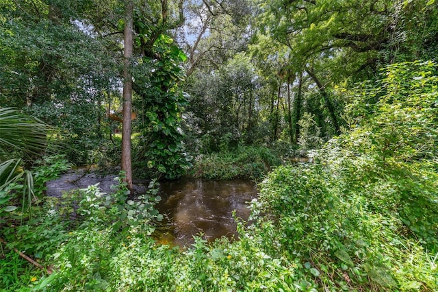 view of landscape with a wooded view