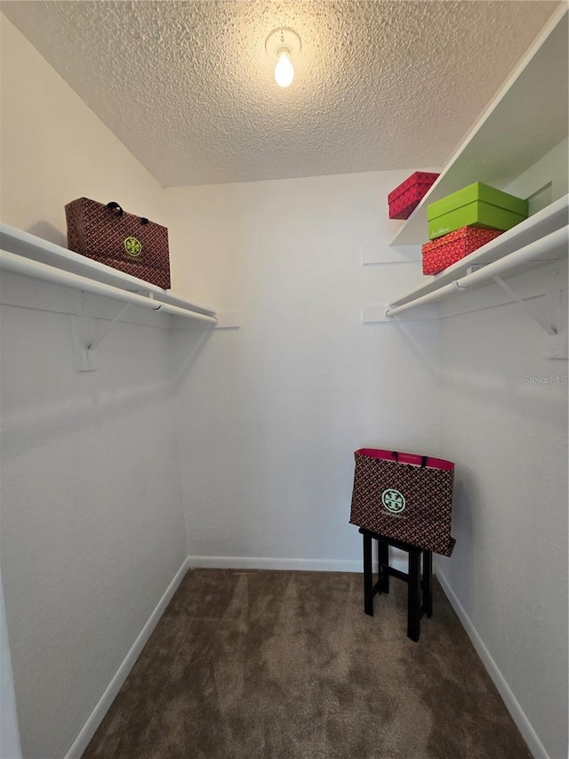 4401 Thornbriar Ln Unit 202, Orlando, FL 32822 - walk in closet with carpet flooring