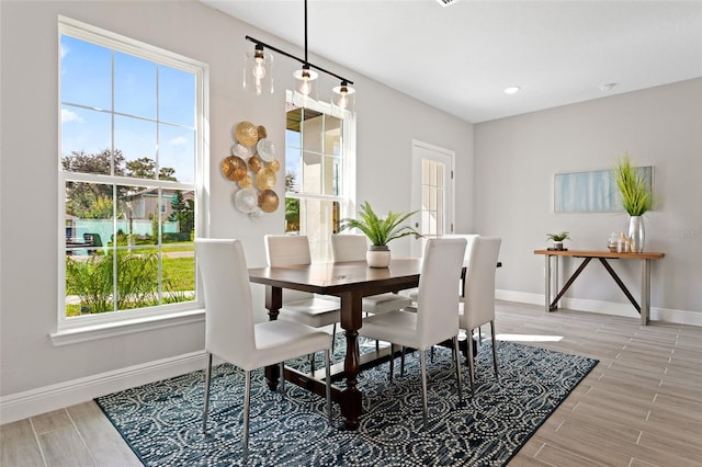 dining space featuring hardwood / wood-style floors