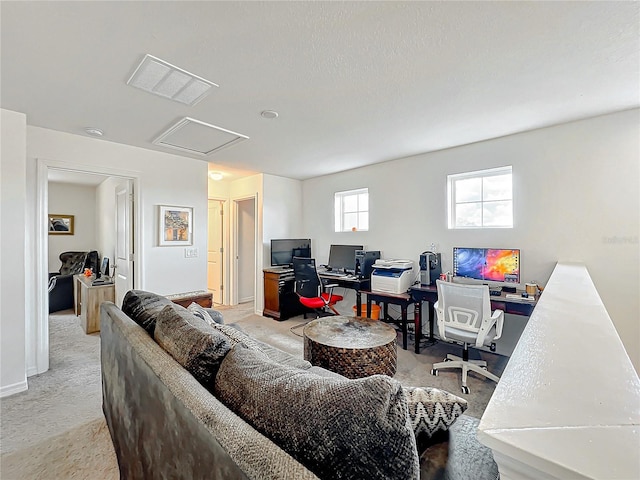 living room featuring a textured ceiling and carpet floors