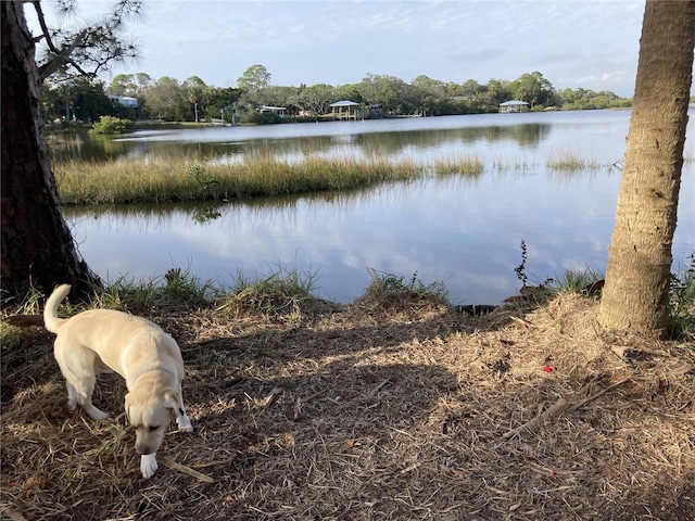 Listing photo 3 for 0 Hodges Ave, Cedar Key FL 32625