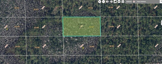 Dill Rd, Orlando, FL 32820 - photo 1