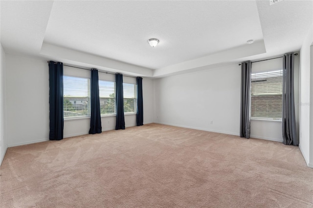 spare room featuring a tray ceiling, baseboards, carpet floors, and a textured ceiling