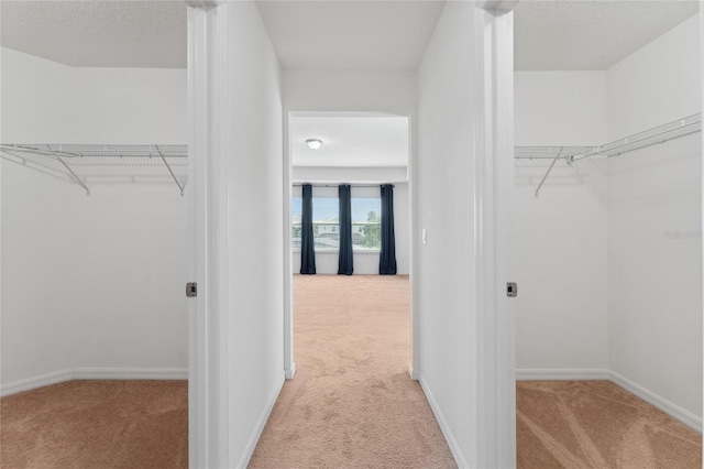 spacious closet featuring light colored carpet