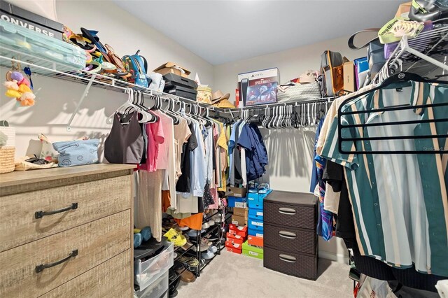 spacious closet featuring carpet flooring