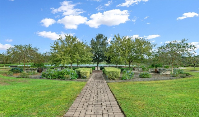 view of property's community with a yard