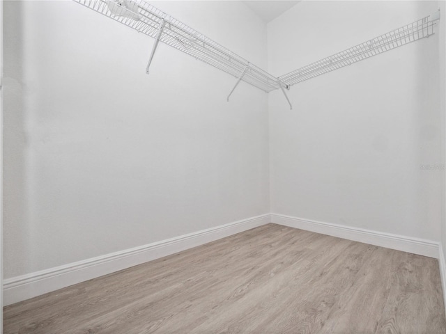 spacious closet with light hardwood / wood-style floors