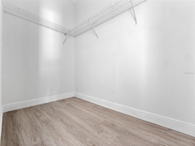 walk in closet featuring hardwood / wood-style flooring